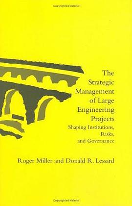 The Strategic Management of Large Engineering Projects pdf epub mobi 電子書 下載