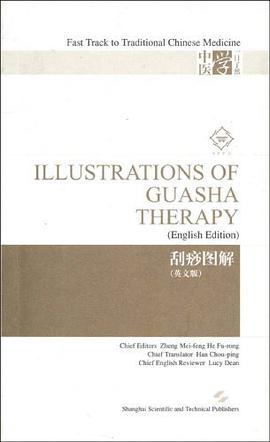 刮痧图解 pdf epub mobi 电子书 下载