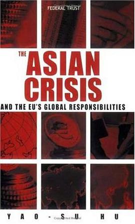 Asian Crisis and the EU's Global Responsibilities pdf epub mobi 电子书 下载