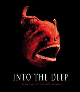 Into the Deep pdf epub mobi 电子书 下载