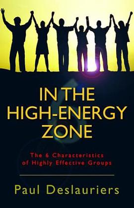 In the High-Energy Zone pdf epub mobi 电子书 下载