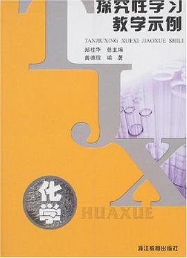 探究性学习教学示例 pdf epub mobi 电子书 下载