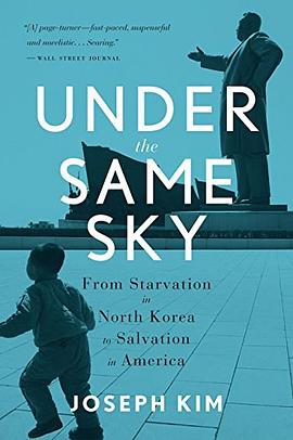 Under the Same Sky pdf epub mobi 电子书 下载