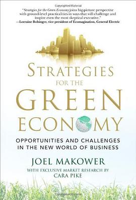 Strategies for the Green Economy pdf epub mobi 电子书 下载