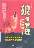 狼性管理 pdf epub mobi 电子书 下载