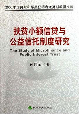 扶贫小额信贷与公益信托制度研究 pdf epub mobi 电子书 下载