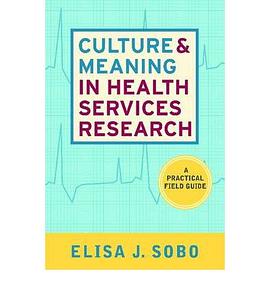 Culture and Meaning in Health Services Research pdf epub mobi 电子书 下载