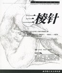 三棱針 pdf epub mobi 電子書 下載