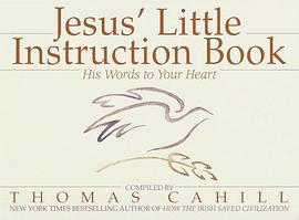 Jesus' Little Instruction Book pdf epub mobi 电子书 下载