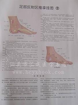 足部反射區推拿掛圖 pdf epub mobi 電子書 下載
