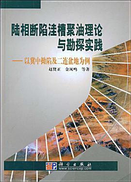 陆相断陷洼槽聚油理论与勘探实践 pdf epub mobi 电子书 下载