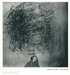 Roger Ballen pdf epub mobi 电子书 下载