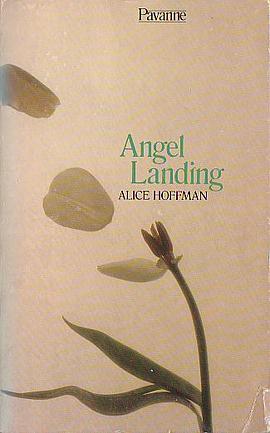 angel landing pdf epub mobi 电子书 下载