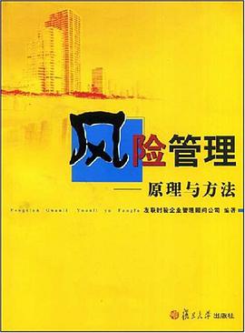 风险管理 pdf epub mobi 电子书 下载