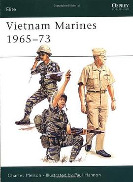 Vietnam Marines, 1965-73 pdf epub mobi 电子书 下载