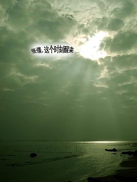 飞鱼乐园最自然干净的岛屿之声献给所有崇尚自然的人(CD)