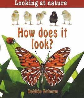 How Does It Look? pdf epub mobi 电子书 下载