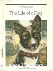 Life of a Dog pdf epub mobi 电子书 下载