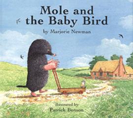 Mole and the Baby Bird pdf epub mobi 电子书 下载