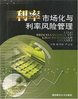 利率市场化与利率风险管理 pdf epub mobi 电子书 下载