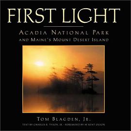 First Light pdf epub mobi 下载