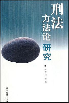 刑法方法論研究