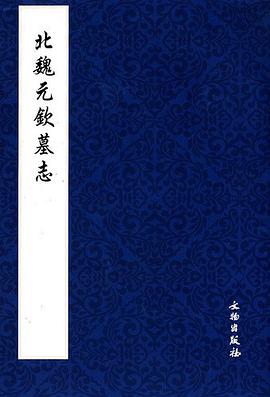 北魏元钦墓志 pdf epub mobi 电子书 下载