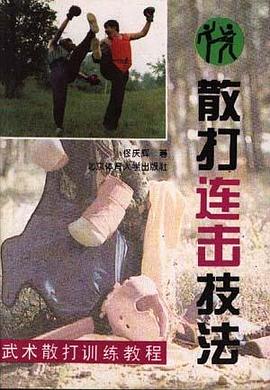 散打连击技法 pdf epub mobi 下载