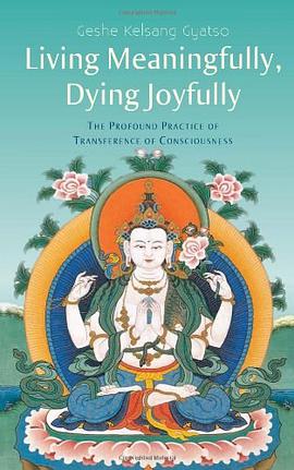 Living Meaningfully, Dying Joyfully pdf epub mobi 电子书 下载