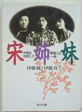 宋姉妹 pdf epub mobi 电子书 下载
