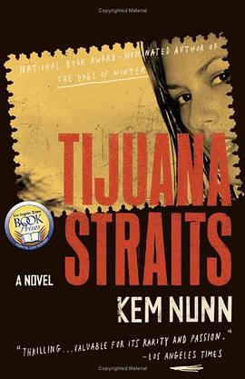 Tijuana Straits pdf epub mobi 电子书 下载