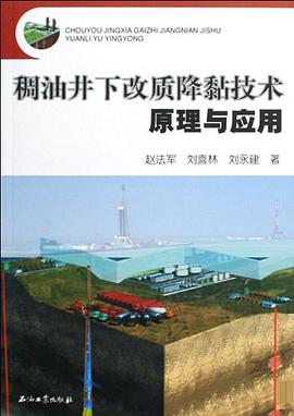 稠油井下改质降黏技术原理与应用 pdf epub mobi 电子书 下载