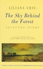 The Sky Behind the Forest pdf epub mobi 电子书 下载