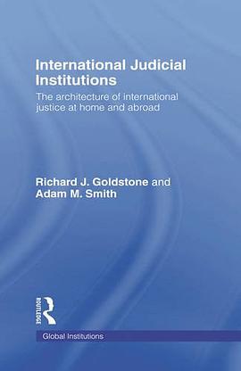 International Judicial Institutions pdf epub mobi 電子書 下載