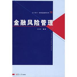 金融风险管理 pdf epub mobi 电子书 下载