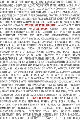 Words of Intelligence pdf epub mobi 电子书 下载