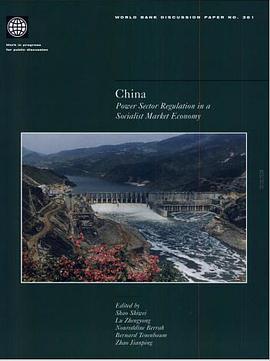 China's Financial Sector Reform in the Transition to a Market Economy pdf epub mobi 电子书 下载