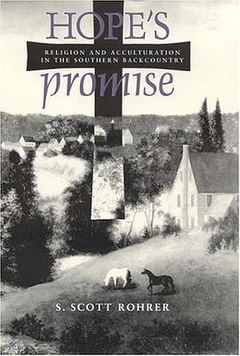 Hope's Promise pdf epub mobi 電子書 下載