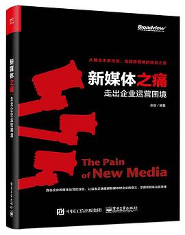 新媒体之痛：走出企业运营困境 pdf epub mobi 电子书 下载