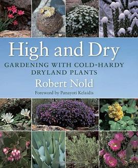 High and Dry pdf epub mobi 电子书 下载