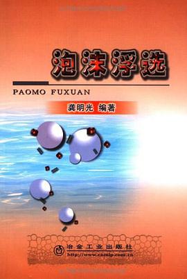 泡沫浮选 pdf epub mobi 电子书 下载