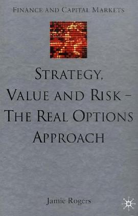 Strategy, Value and Risk - The Real Options Approach pdf epub mobi 电子书 下载