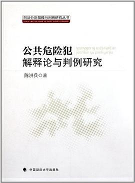 公共危险解释论与判例研究 pdf epub mobi 电子书 下载