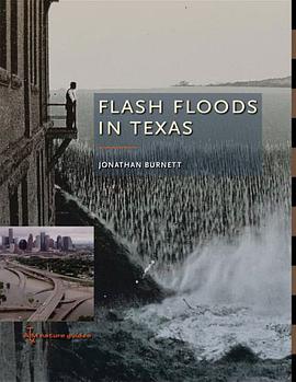 Flash Floods in Texas pdf epub mobi 電子書 下載
