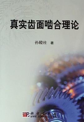 真实齿面啮合理论