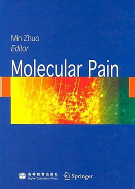 Molecular Pain pdf epub mobi 电子书 下载