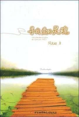 寻找爱的灵魂 pdf epub mobi 电子书 下载