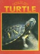 Caring for Your Turtle pdf epub mobi 下载