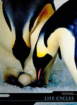 Life Cycles pdf epub mobi 电子书 下载