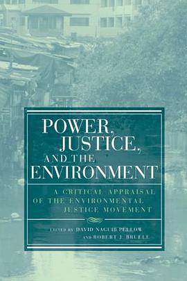 Power, Justice, and the Environment pdf epub mobi 电子书 下载